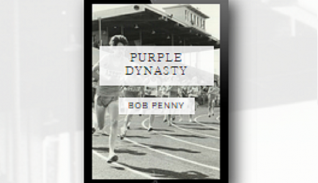 PurpleDynasty – Babbittville