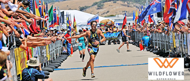 WildflowerExperience – Babbittville