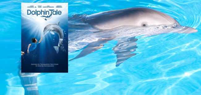 dolphin_tale_alcon